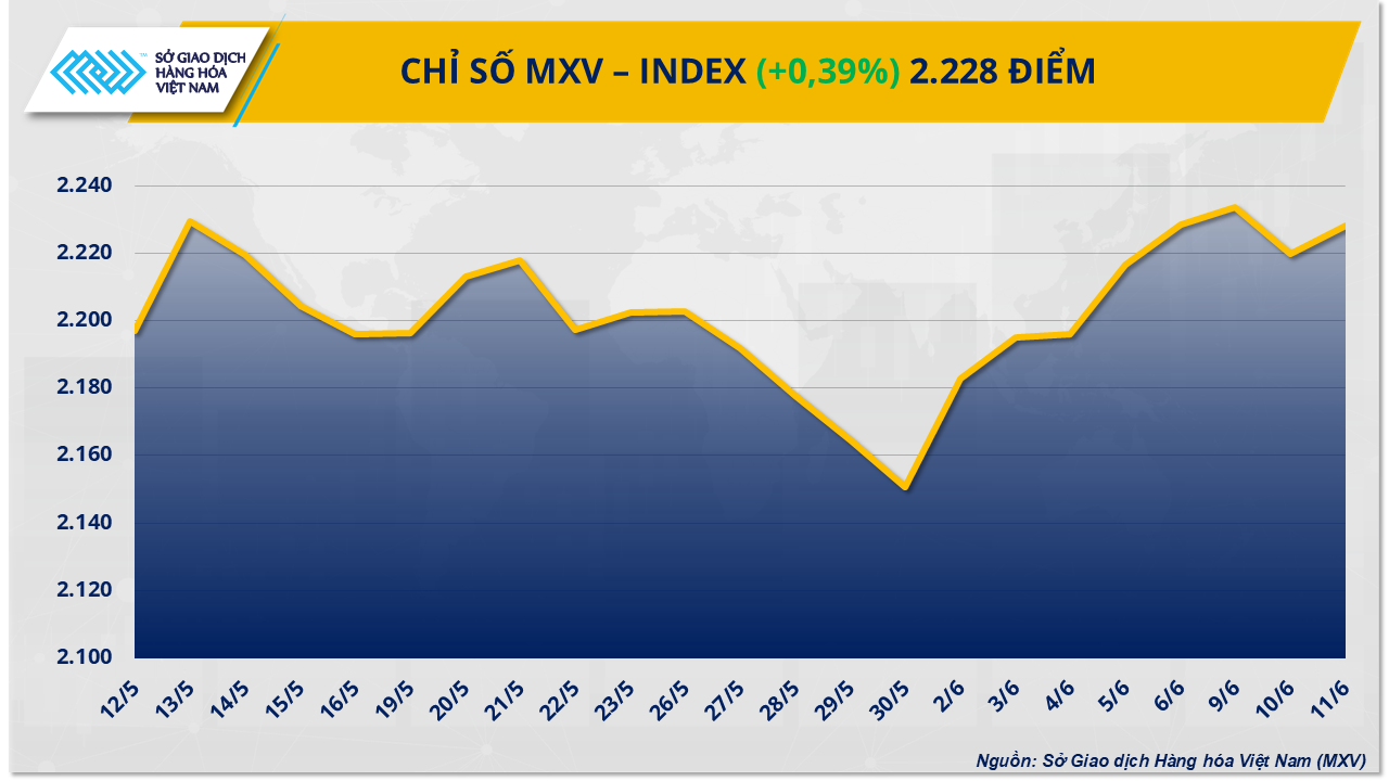 MXV-Index