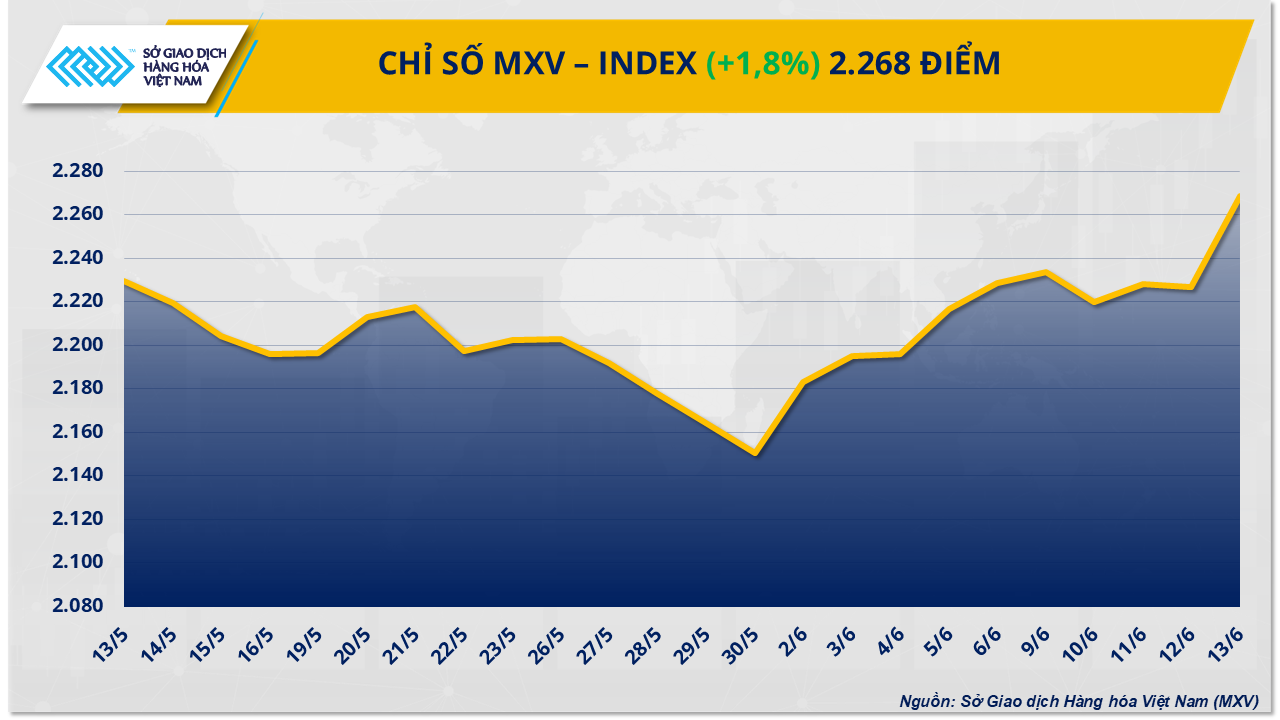 MXV-Index (45)