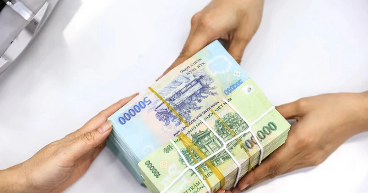 Ảnh minh họa: Vietnam+