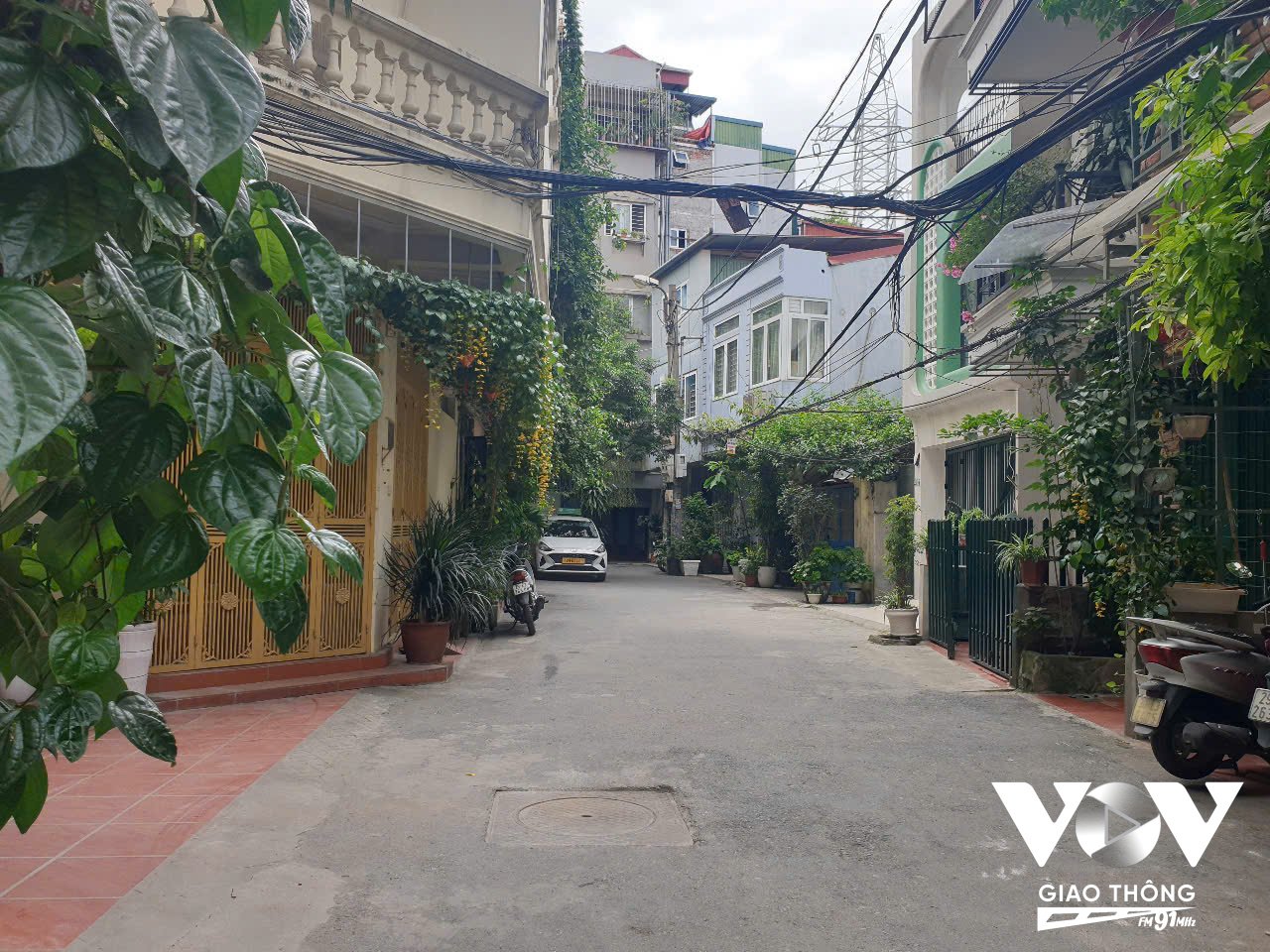 Xóm nhỏ yêu lá, yêu hoa và nhiều màu xanh trước mỗi hiên nhà!
