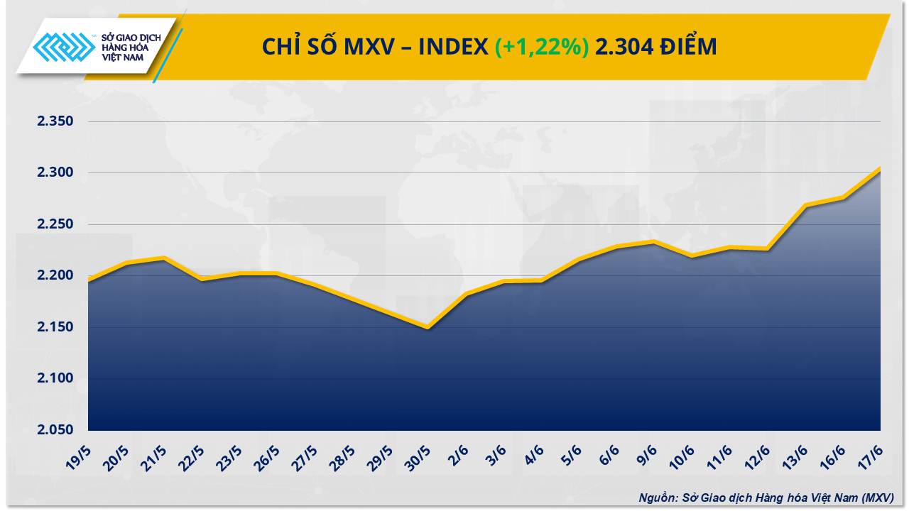 MXV-Index (46)