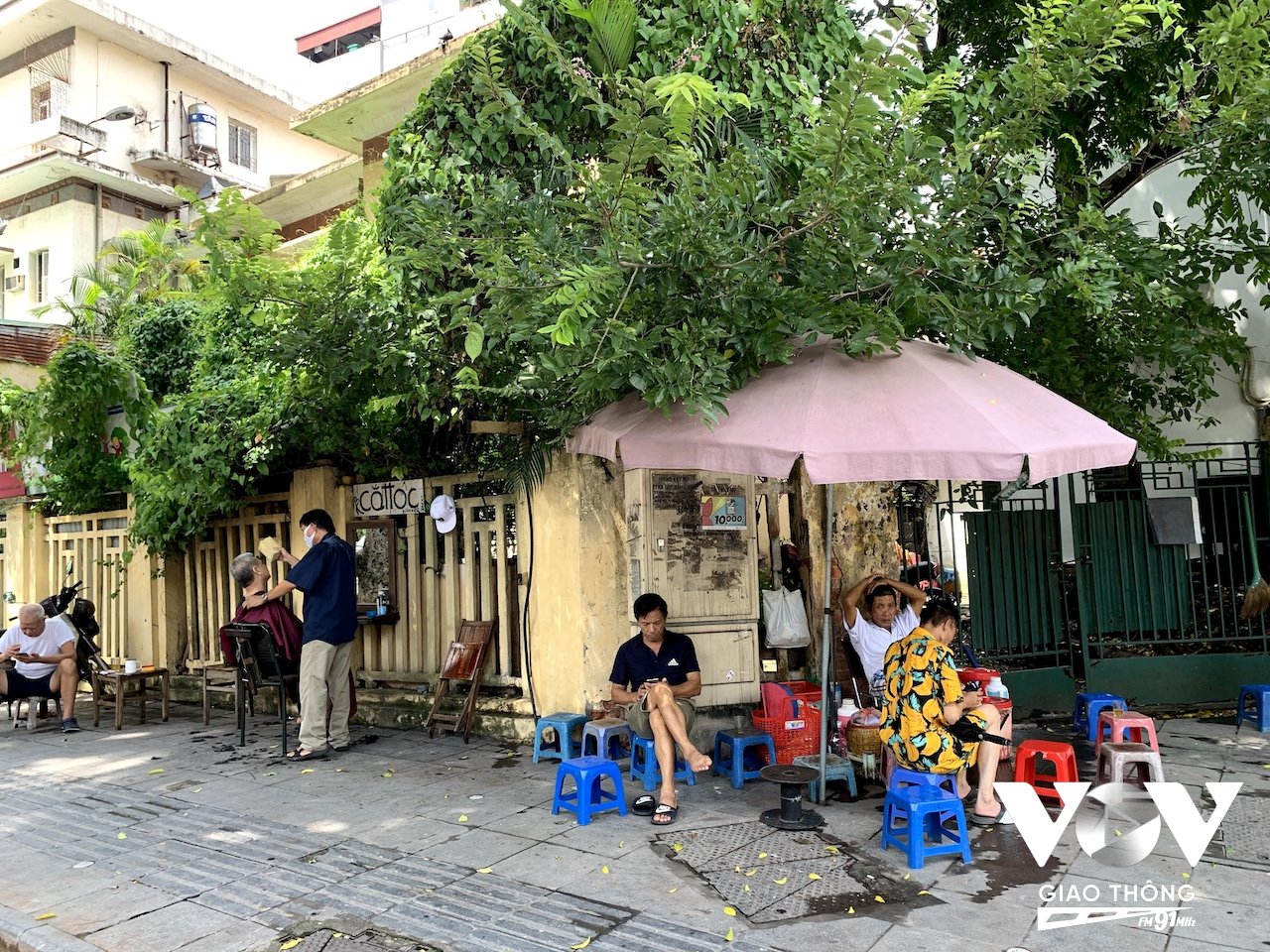 Ở đô thị, một góc cây xanh cũng trở nên quý giá