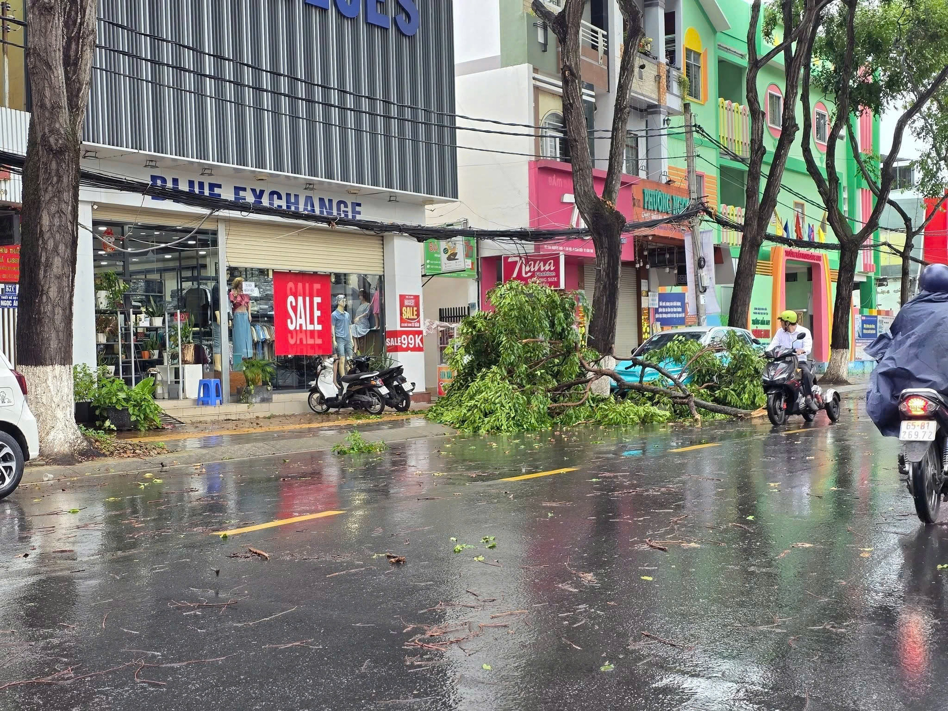 Ở đường Nguyễn Trãi (Q.Ninh Kiều), một nhánh cây lớn bị gió quật gãy, rơi trúng đầu xe taxi đậu bên lề, khiến đầu xe bị móp méo, lúc này không có người trong xe