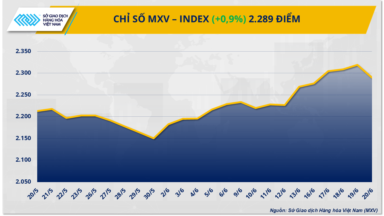 MXV-Index (48)