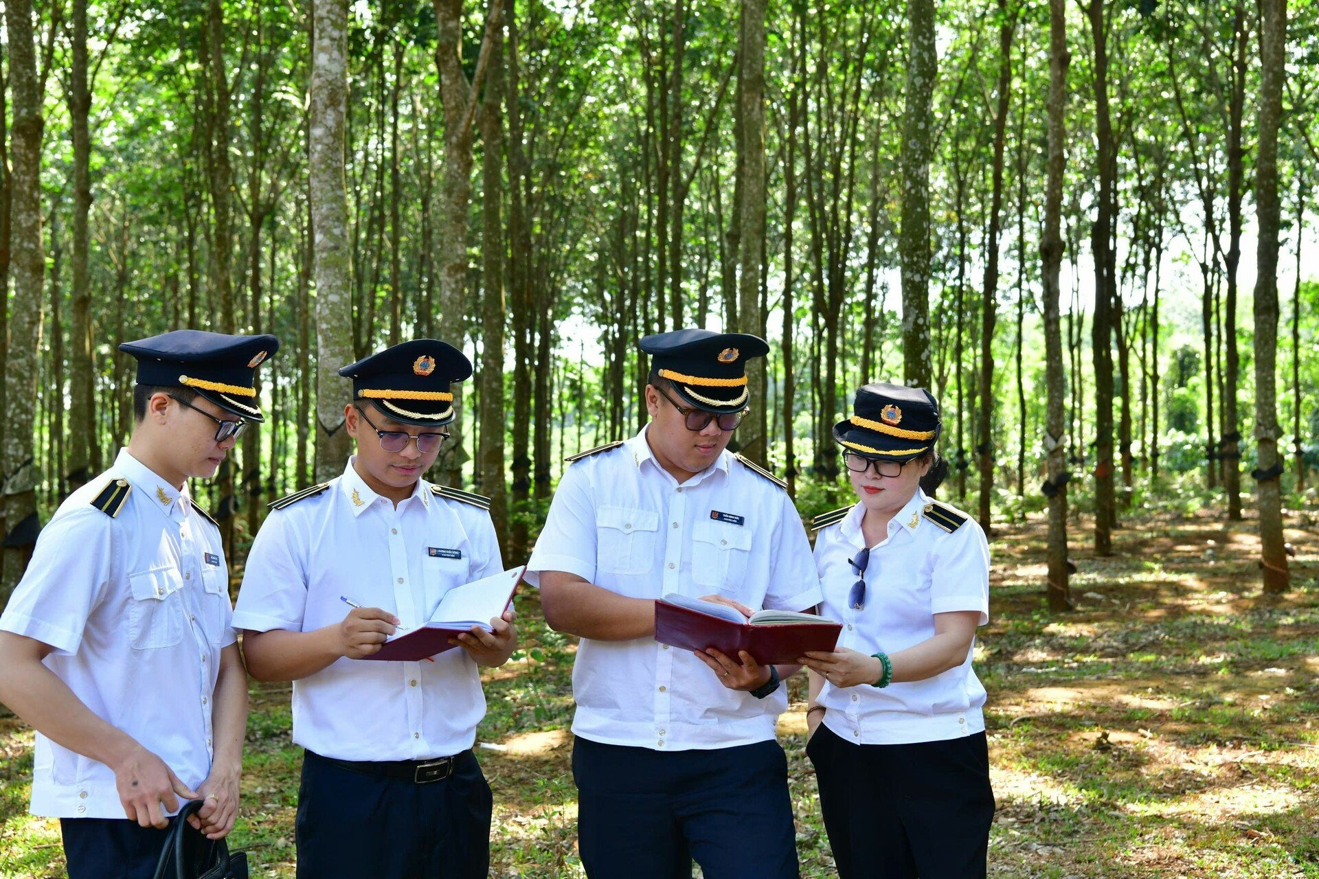 Kiểm toán nhà nước kiểm tra tại vườn trông cây mắc ca của huyện Đăk Tô