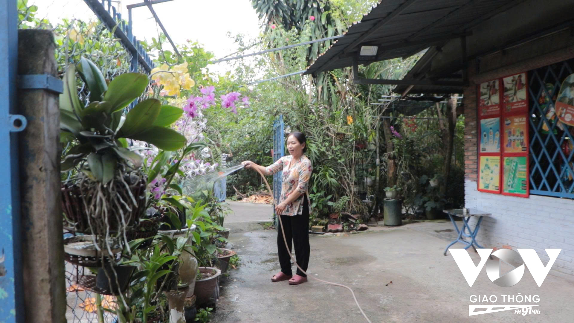 Bà Nguyễn Kim Hường - 55 tuổi, sống ở đây từ nhỏ đến lớn, đã có nghe qua thông tin quy hoạch lâu nay, do ở đây bà chỉ bán hàng tạp hóa và trồng trọt một số loại cây để sinh sống.