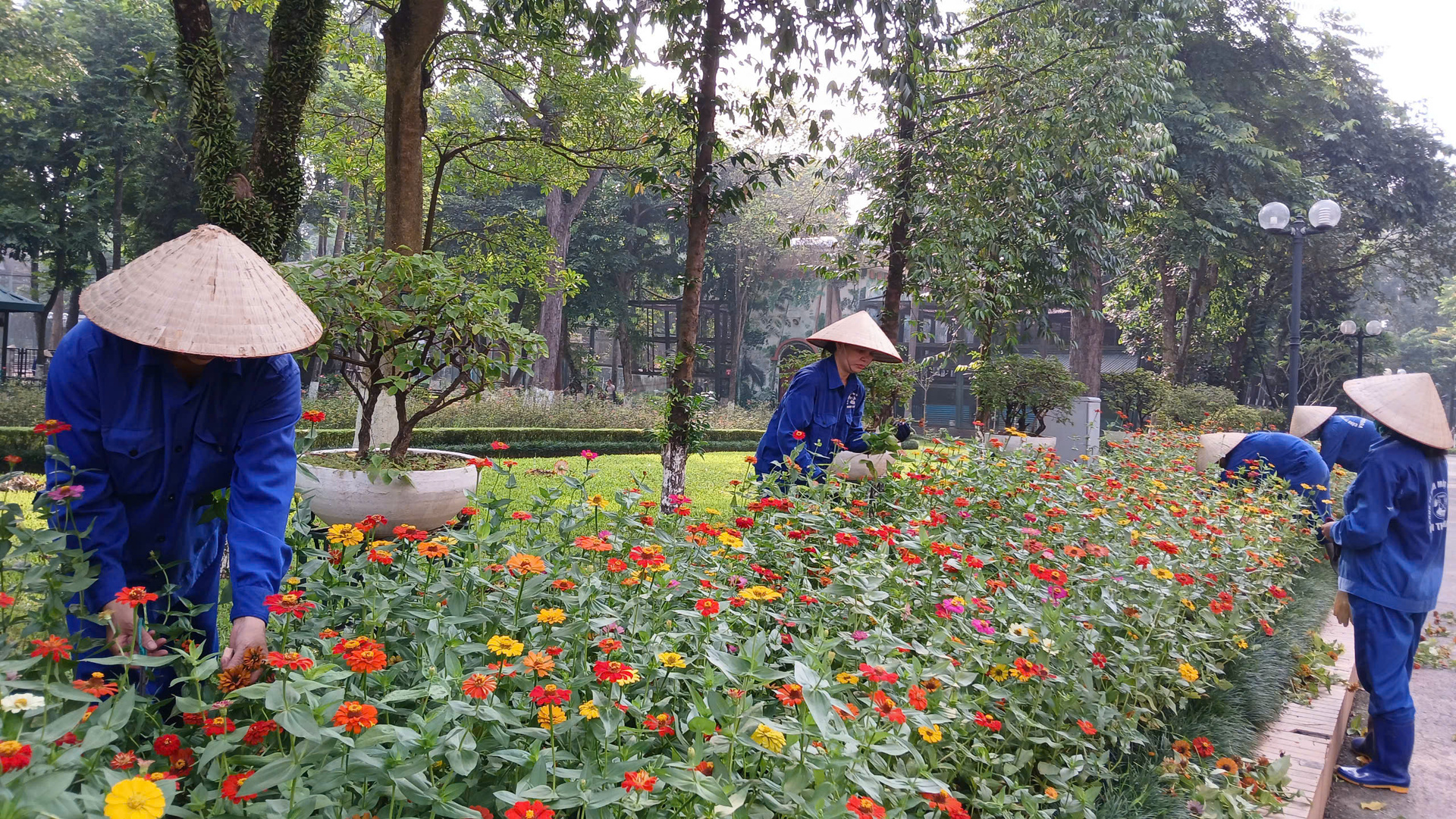 Công nhân Công ty Công viên cây xanh chỉnh trang cây xanh, vườn hoa