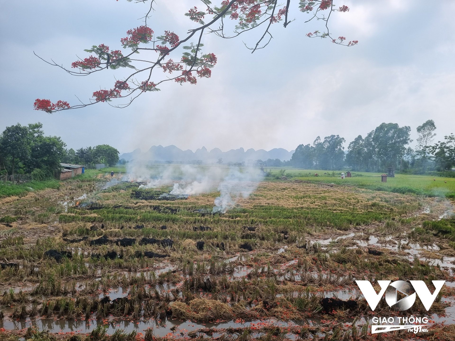 Truyền thông thay đổi nhận thức, nâng cao kiến thức nông nghiệp và hỗ trợ nông dân là giải pháp quan trọng để giảm thiểu tình trạng đốt rơm rạ. Ảnh: Minh Hiếu