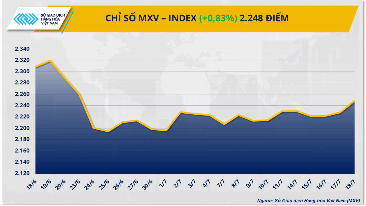 MXV-Index (55)