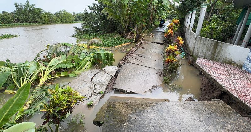 Theo Sở Nông nghiệp và Môi trường tỉnh Vĩnh Long, từ đầu năm 2025 đến nay, trên địa bàn tỉnh đã xảy ra tổng cộng 39 điểm sạt lở đất bờ sông, kênh rạch