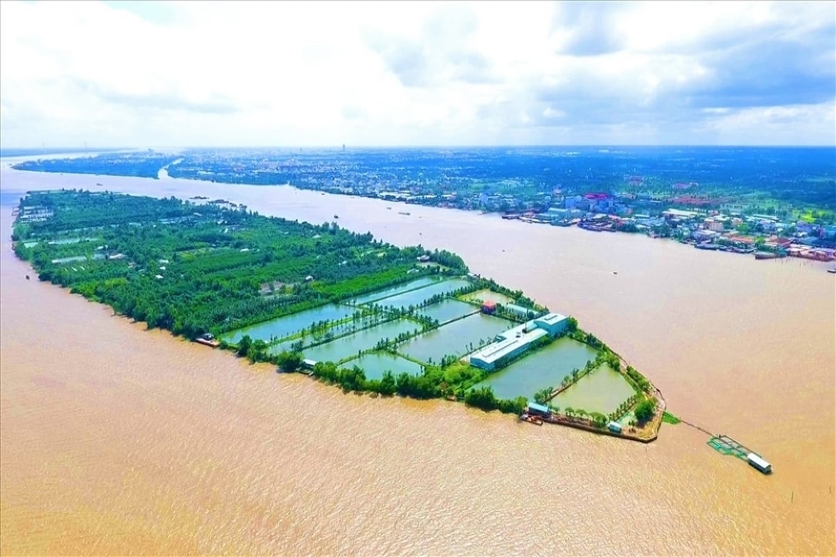Cồn Sơn là địa điểm được nhiều du khách ưu thích khi đến Cần Thơ. Ảnh: Thành Nhân/Báo Lao động