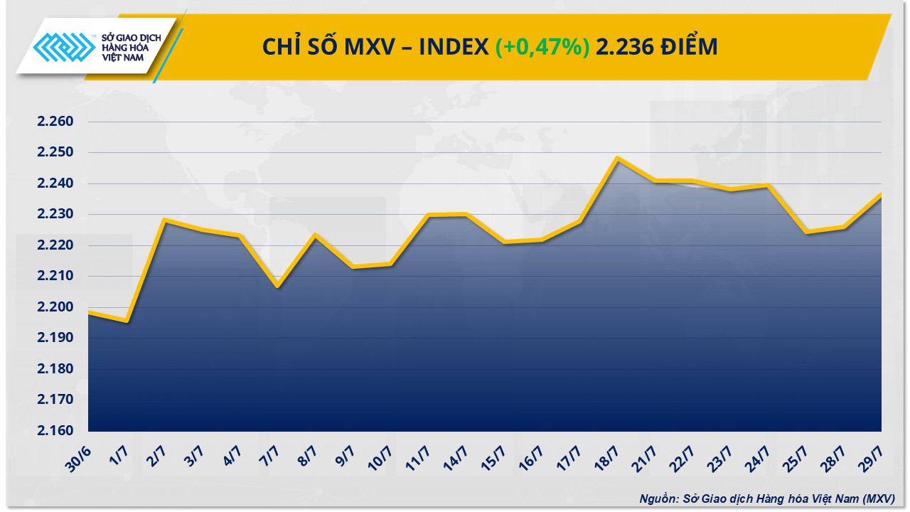 MXV-Index (60)