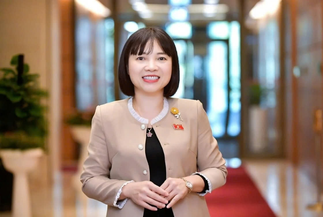 TS. Nguyễn Thị Việt Nga, Ủy viên Ủy ban Văn hóa và Xã hội của Quốc hội
