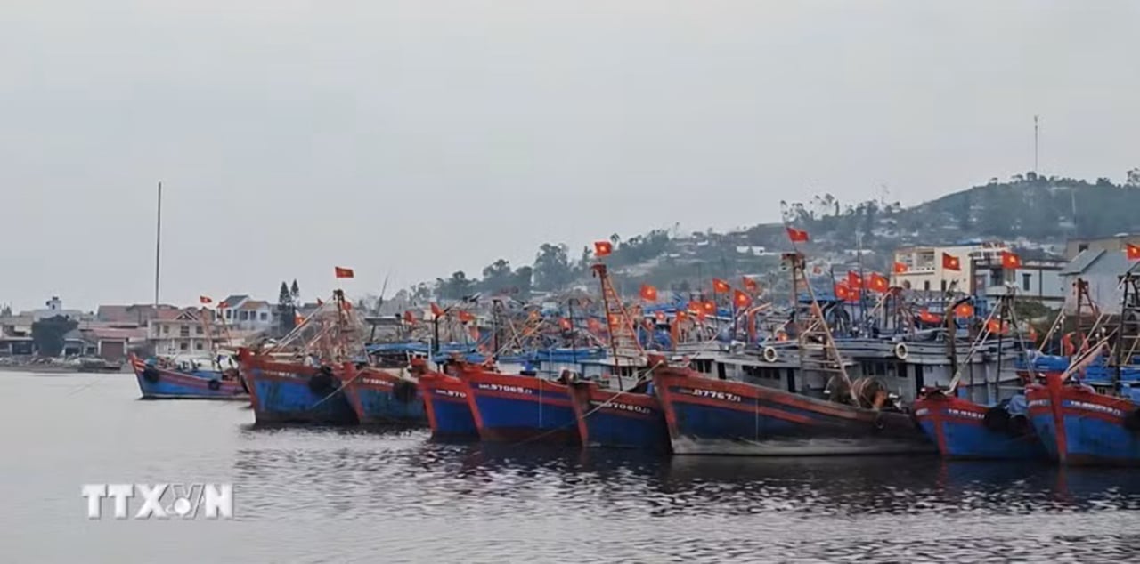 Một khu neo đậu tàu thuyền tại cảng cá. (Ảnh: TTXVN)