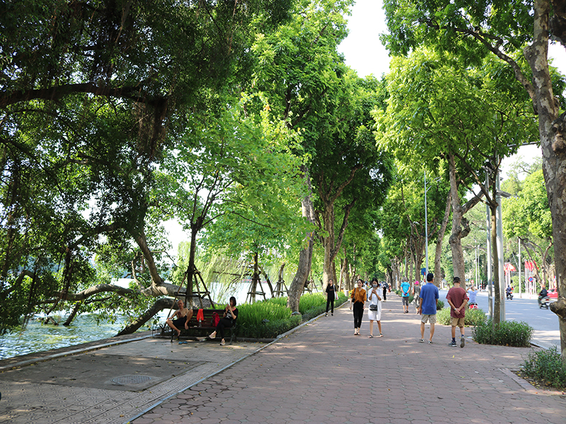 Hà Nội đặc biệt quan tâm tới công tác phát triển hệ thống cây xanh trong khu vực nội đô