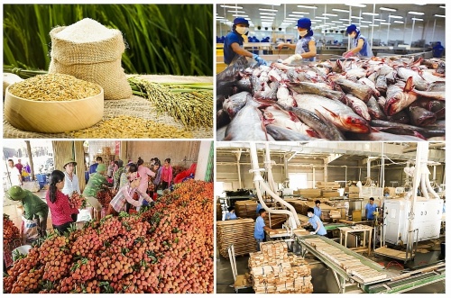 8 tháng, xuất nhập khẩu nông - lâm - thủy sản ước đạt gần 46 tỷ USD