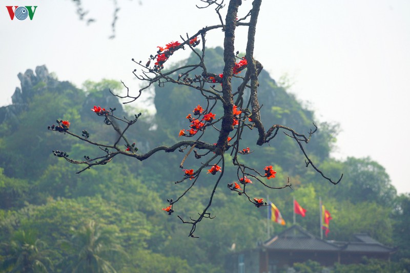 TOP 15 phong cảnh đẹp Sài Gòn nổi bật  Tranh AmiA