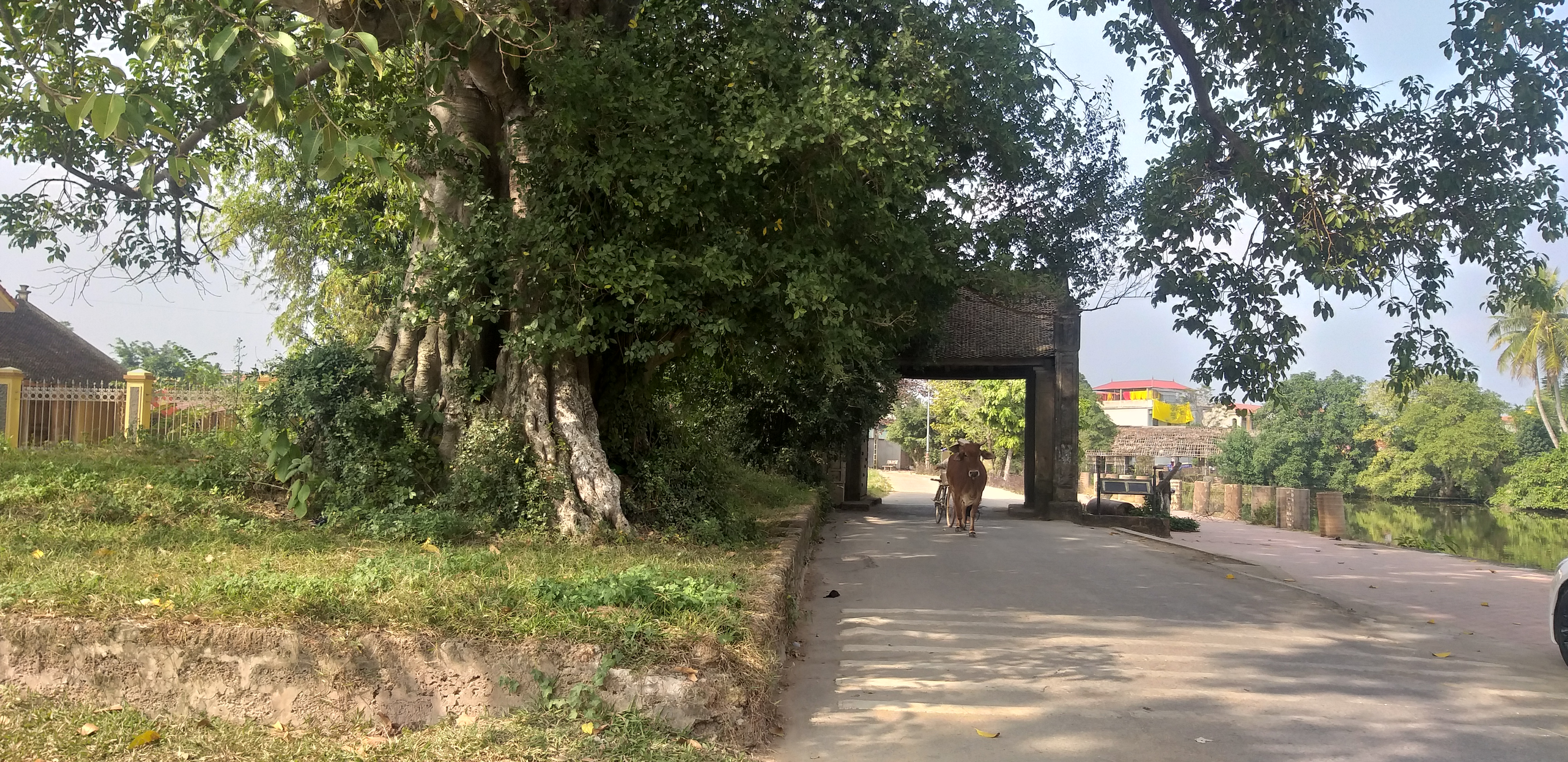 Cách trung tâm TP Hà Nội khoảng 40 km về phía Tây, làng cổ Đường Lâm vẫn giữ được những đặc trưng đậm nét làng quê Bắc Bộ với cây đa, bến nước, sân đình, chùa miếu.