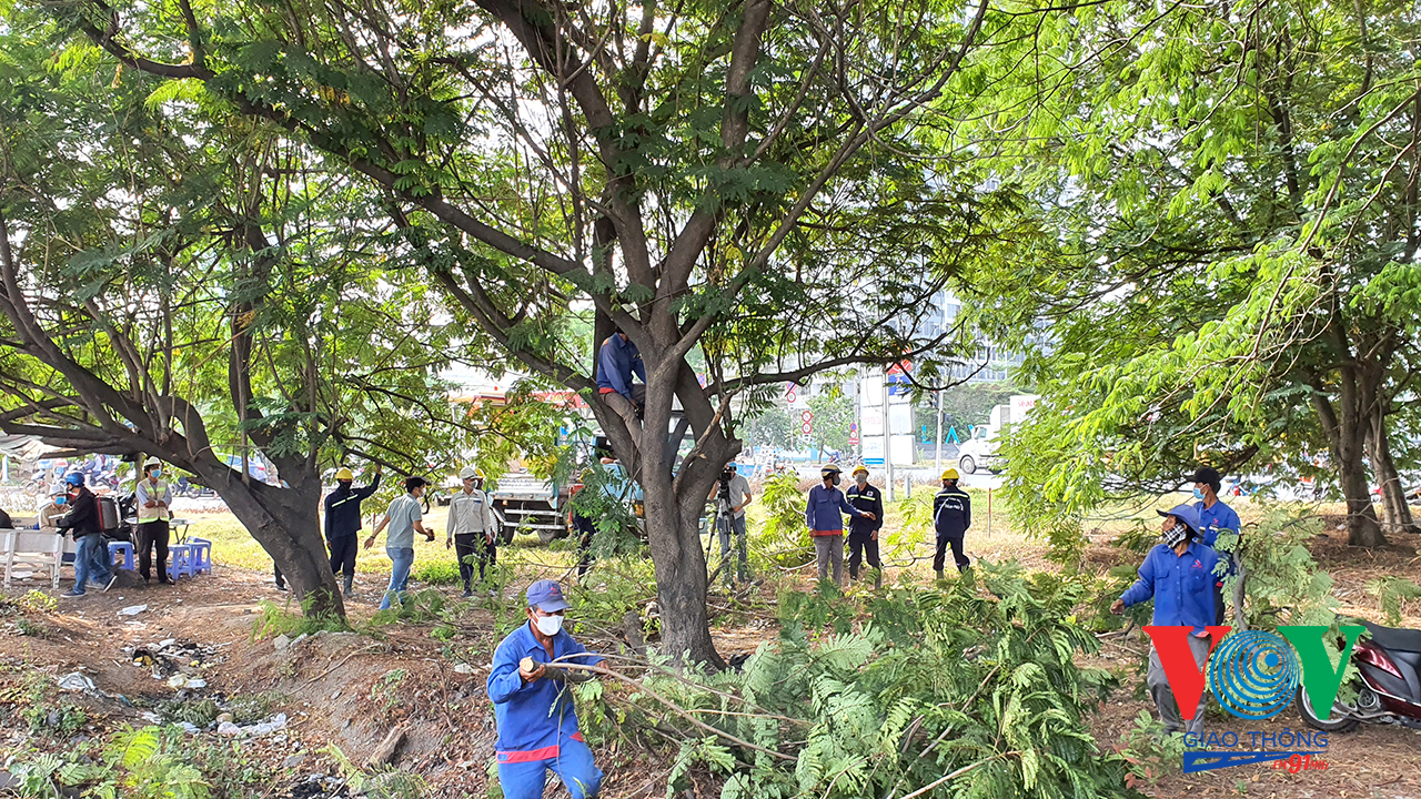 Các nhà thầu đã tiến hành công tác di dời, cắt tỉa cây xanh để thực hiện việc mở rộng đường tạm và điểm quay đầu ô tô tại dải phân cách tim đường Nguyễn Văn Linh