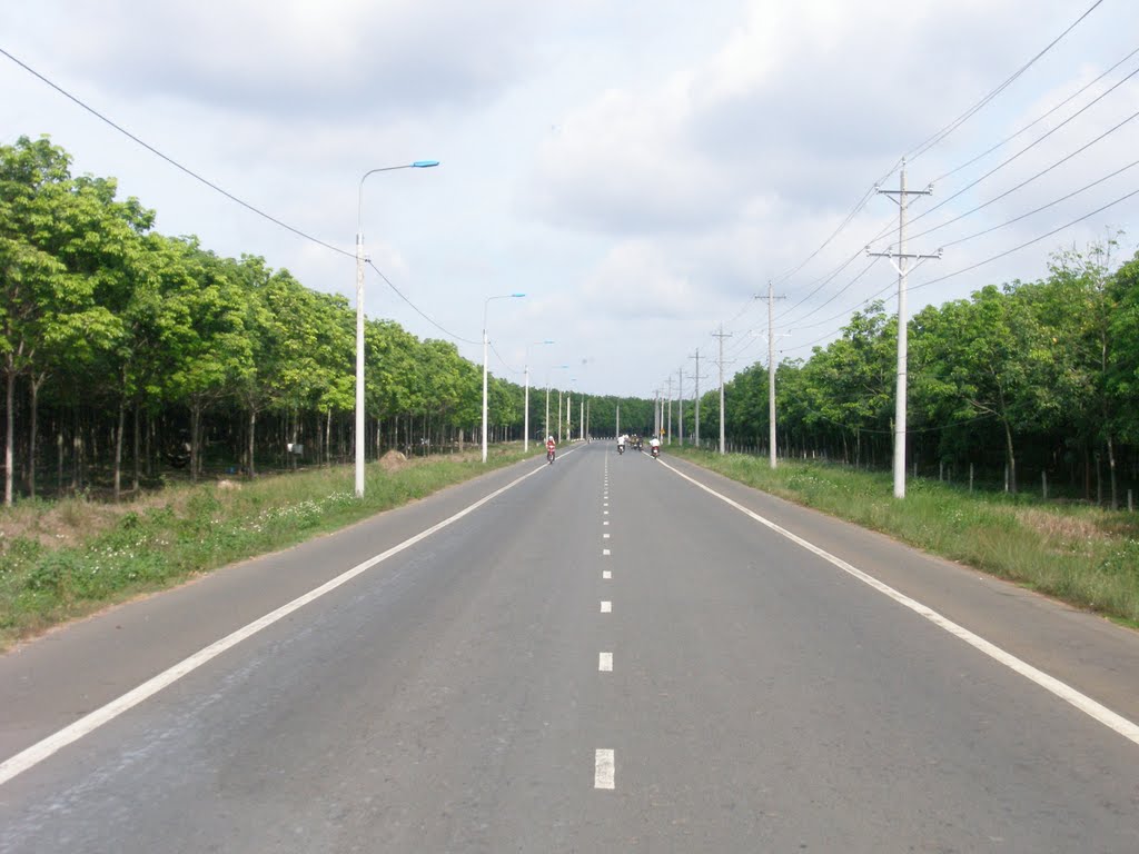 Vạch màu trắng nét đứt