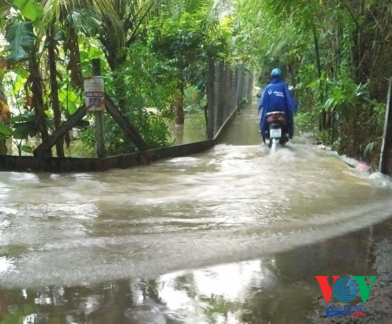 Khu phố 8, phường 5, thành phố Mỹ Tho, tỉnh Tiền Giang cũng xảy ra ngập nước cục bộ nhiều nơi.