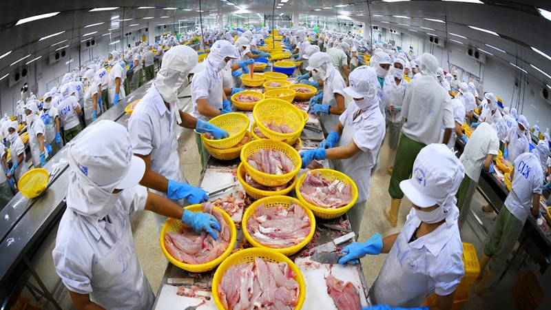 EVFTA sẽ đem lại tiềm năng thị trường lớn cho xuất khẩu thủy sản Việt Nam
