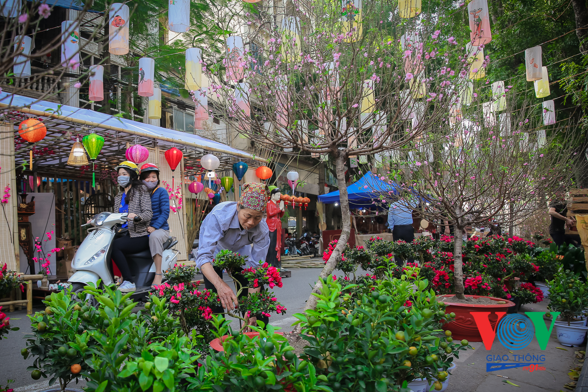 VOVGT-- Chợ hoa Tết phố bích hoạ Phùng Hưng 2020-20