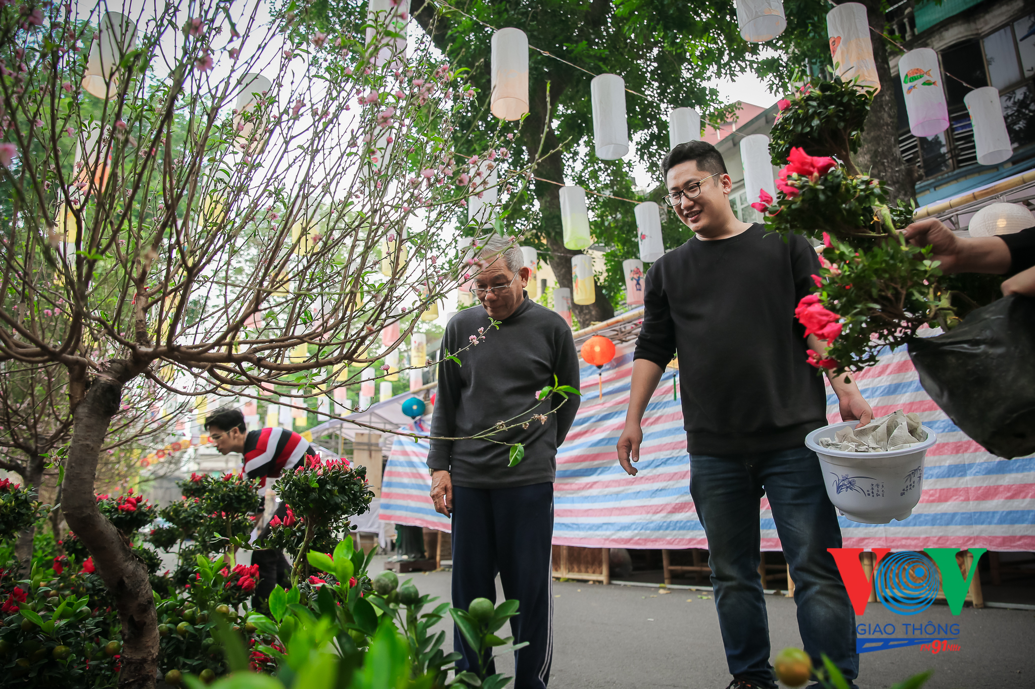 VOVGT-- Chợ hoa Tết phố bích hoạ Phùng Hưng 2020-8
