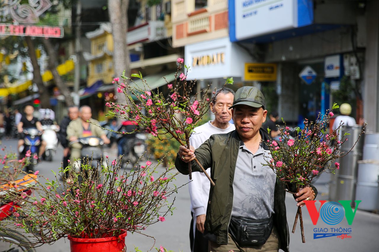 VOVGT-- Chợ hoa Tết phố bích hoạ Phùng Hưng 2020-49