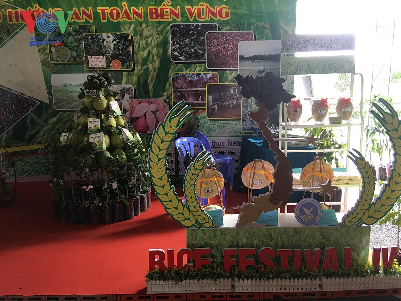 Vĩnh Long: Sẵn sàng cho Festival lúa gạo lần IV năm 2019