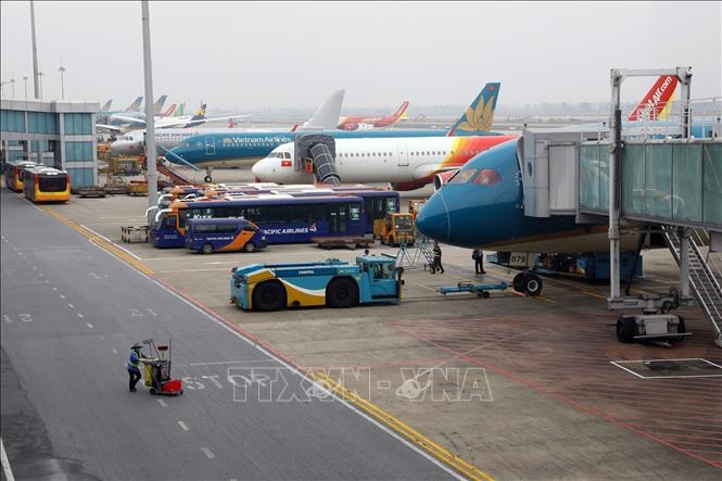 Máy bay tại Cảng Hàng không Quốc tế Nội Bài. Ảnh: Huy Hùng/TTXVN