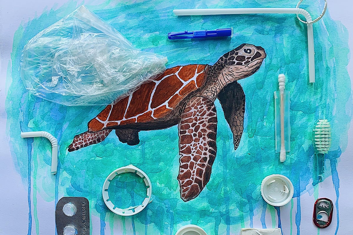 Những bước Cách vẽ con rùa cute Dễ thương và đơn giản để làm nên một tác  phẩm nghệ thuật