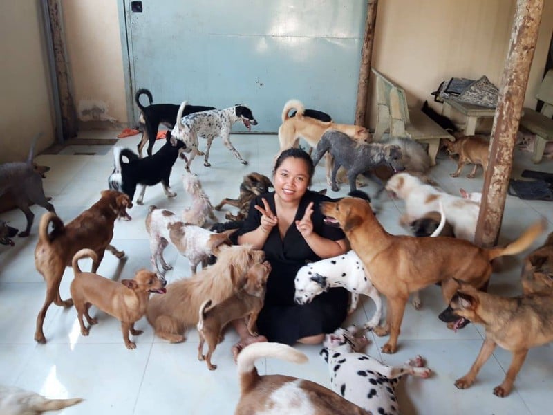 BạnTrần Uyên Như, Admin của trang FacebookNhóm Cứu hộ chó mèo Sài Gòn Time -SGT cùng những chú chó được nhóm cứu hộ thành công.
