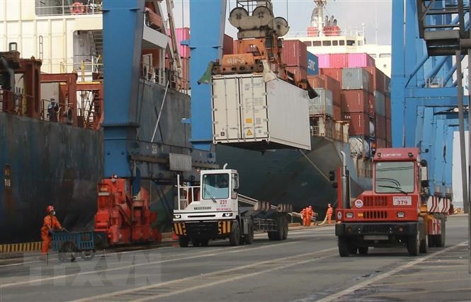 Tân cảng Cát Lái vẫn đảm bảo hoạt động thông suốt, chưa dừng tiếp nhận hàng hóa nào trong suốt thời gian qua (Ảnh: TTXVN)