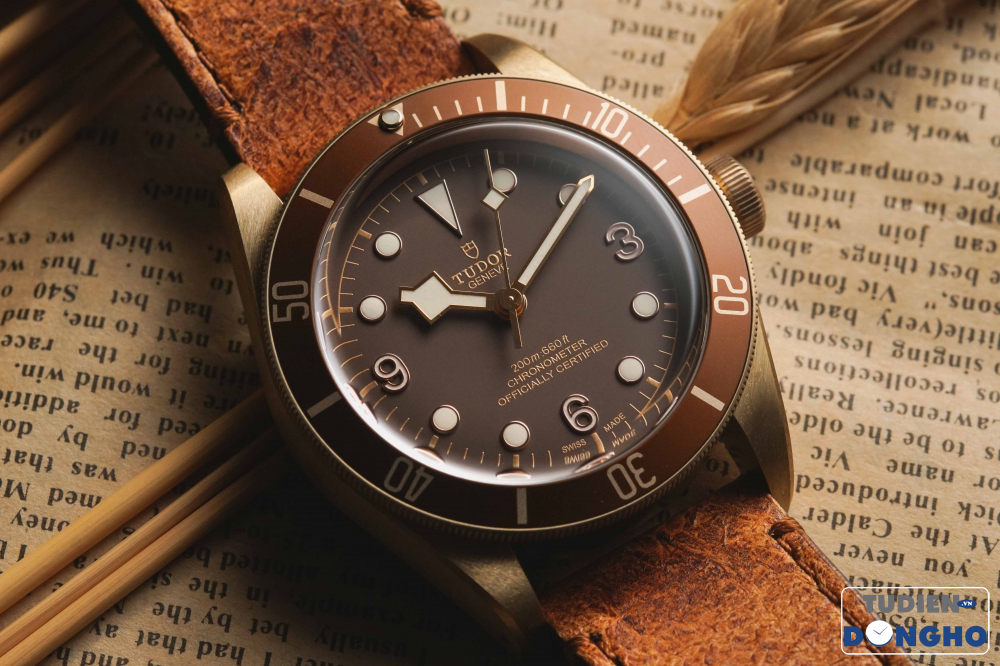 tudor-4