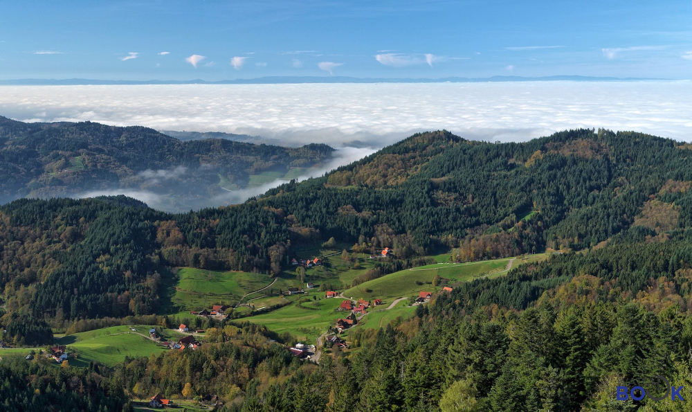 Black-Forest-Region-Germa