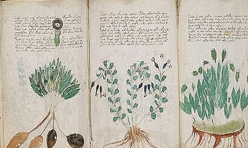 Chính vì vậy, cho đến nay, bí ẩn về nội dung trong bản thảo Voynich vẫn chưa được làm sáng tỏ. Do đó, các chuyên gia tiếp tục nghiên cứu nhằm sớm giải mã được bí ẩn về cuốn sách này.