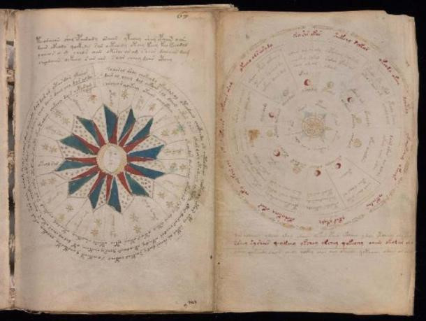 Bên trong là những trang sách với những hình vẽ gồm cả thực vật và thiên văn học. Hiện bản thảo Voynich được lưu giữ và bảo quản tại Thư viện Beinecke, Đại học Yale, Mỹ.