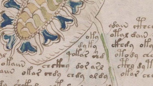 Trong số này nổi tiếng là quan điểm của nhà sử học Nicholas Gibbs. Theo ông, bản thảo Voynich thực chất chỉ là một cuốn sổ tay sức khỏe dành cho phụ nữ.