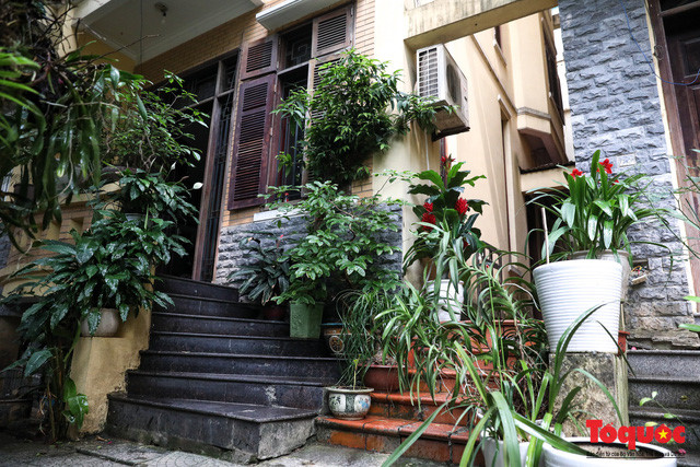 NSND Hoàng Dũng cùng gia đình sống trong một căn nhà ấm cúng tại ngõ nhỏ nằm trên phố Kim Mã. Bước vào khuôn viên nhà là khoảng không gian rộng rãi với nhiều cây xanh tạo nên cảm giác bình yên.