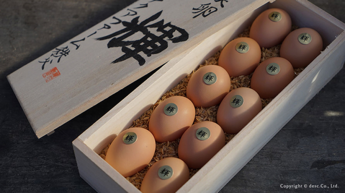 Chế độ dinh dưỡng này cũng là lý do giúp trứng Teru không mùi tanh và vị ngọt. Ảnh: San-sui.