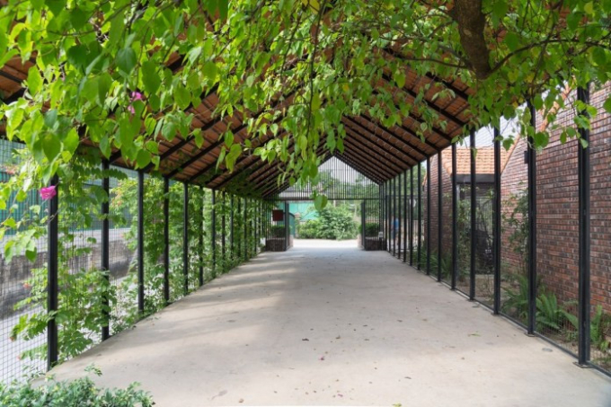 Phía trước khối chức năng chính là gara và lối vào nhà, được thiết kế bằng hệ kết cấu nhẹ, lợp ngói truyền thống, hai bên bao bọc bởi cây xanh.