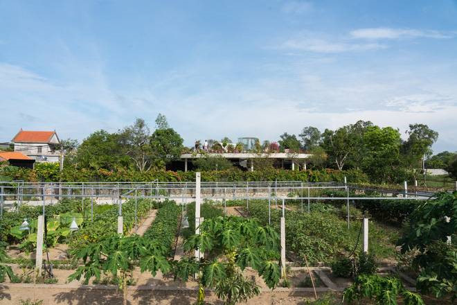 Đặc biệt, khi thiết kế nhà, kiến trúc sư còn dành một diện tích lớn để trồng rau. Nguồn ảnh: Triệu Chiến.