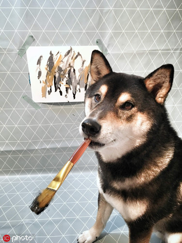 Chú chó thông minh Hunter đến từ Alberta, Canada gần đây trở nên vô cùng nổi tiếng, trở thành ngôi sao động vật trên toàn thế giới với tài năng vẽ tranh trừu tượng của mình.
