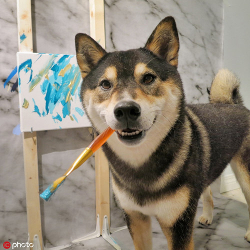 Tuy vậy, những bức tranh của Hunter vẫn rất được yêu thích. Chú chó cưng cũng có vẻ rất vui vẻ, thích thú khi được trở thành một họa sĩ thực thụ trong thế giới động vật.