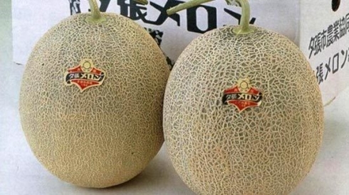 Đứng đầu trong danh sách các loại hoa quả đắt đỏ nhất Nhật Bản, thậm chí là lọt top quả đắt nhất thế giới phải kể đến loại dưa lưới Yubari. (Nguồn: VietnamNet)