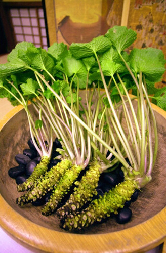 Củ cải ngựa Nhật Bản (hay wasabi) được xem là loại rau đắt nhất trồng ở vùng nông thôn. Ảnh: Hewel.