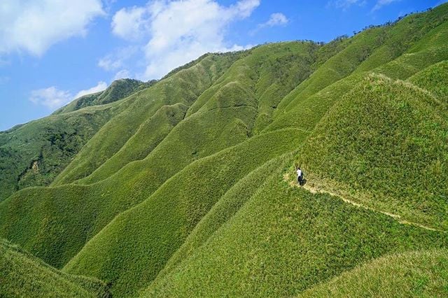 Phủ kín những ngọn núi là cây cỏ, trà xanh, vô cùng thích mắt.