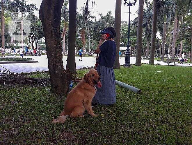 Khi được hỏi vì sao không đeo rọ mõm cho chó khi dắt vào công viên, nhiều chủ chó luôn nói: “Con này hiền lắm không bao giờ cắn người”.