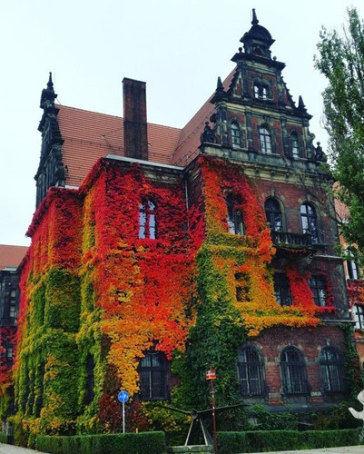 Bảo tàng Quốc gia Wroclaw (Ba Lan) nổi bật với những mảng màu tuyệt đẹp của cây xanh.